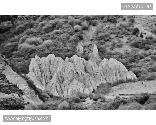 yobo体育赛事回放功能详解让你不错过任何精彩瞬间