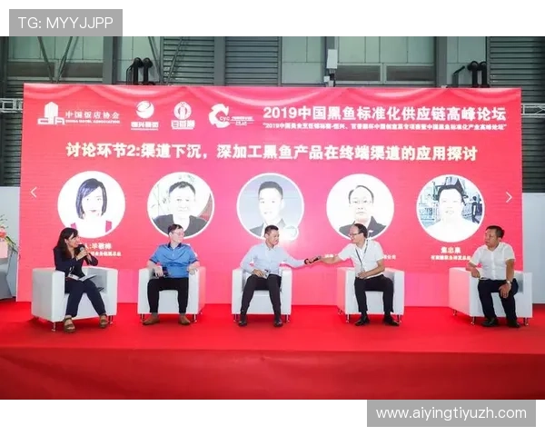 博鱼体育官网控股如何实现持续增长与创新发展策略探讨