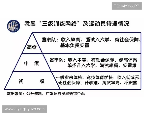八大胜体育的核心理念与发展历程详尽介绍帮助玩家深入了解