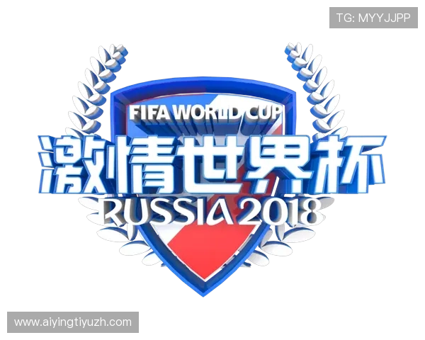 世界杯竞猜安全网址的安全验证方法与用户应注意的安全防范措施
